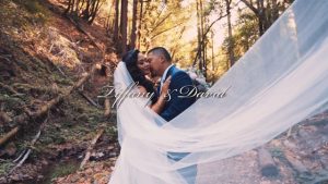 Tiffany & David – Wedding Highlight